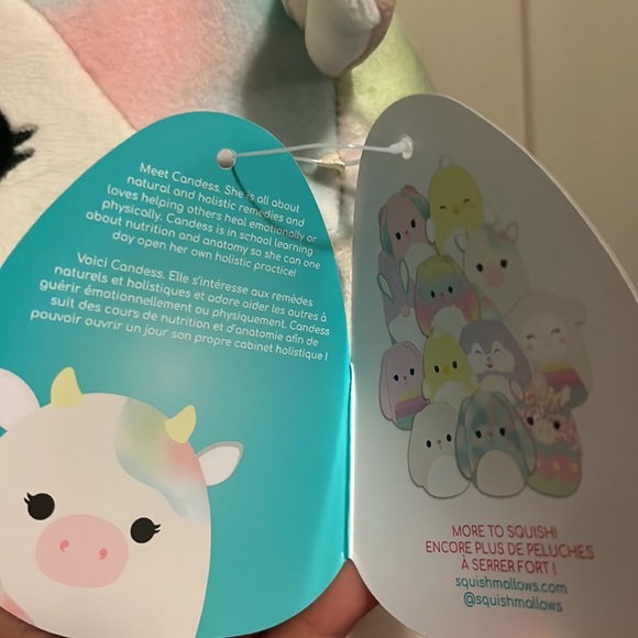 Candess Squishmallows - Picture 3 of 3
